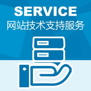 网站安装配置技术服务500元