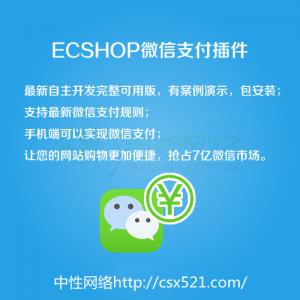 网站开发微信支付插件